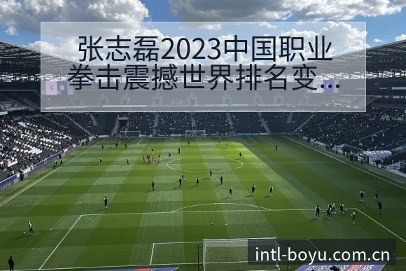 张志磊2023中国职业拳击震撼世界排名变化与后续走势签表 - 博鱼体育App