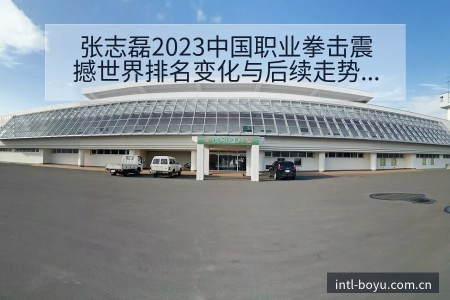 张志磊2023中国职业拳击震撼世界排名变化与后续走势签表 - 博鱼体育App